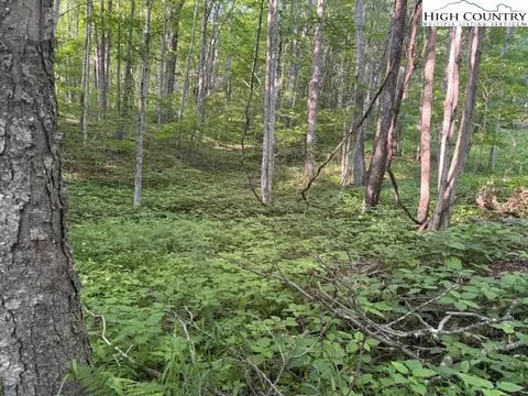 lot58 Beechwood Cir, Creston, NC 28615