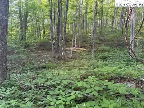 lot59 Beechwood Cir, Creston, NC 28615