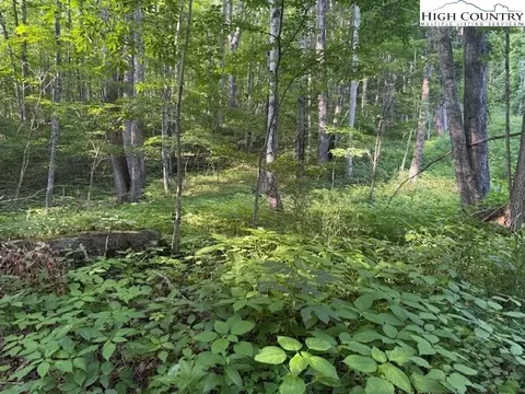 lot58 59 Beechwood Cir, Creston, NC 28615