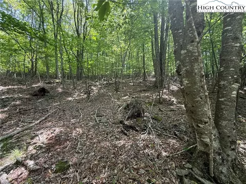 105107 Aster Trl, Beech Mountain, NC 28604 photo 9