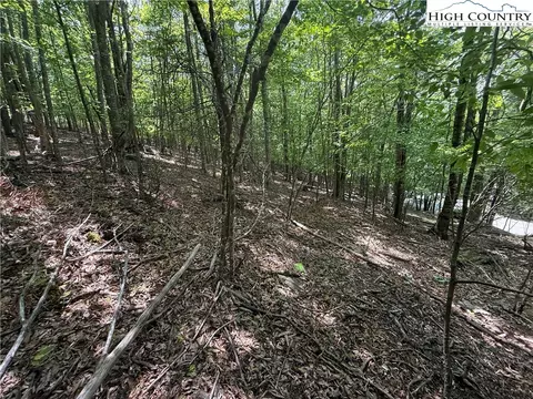 105107 Aster Trl, Beech Mountain, NC 28604 photo 13