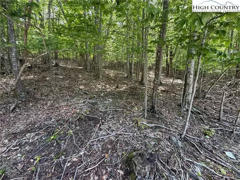 105107 Aster Trl, Beech Mountain, NC 28604 photo 5