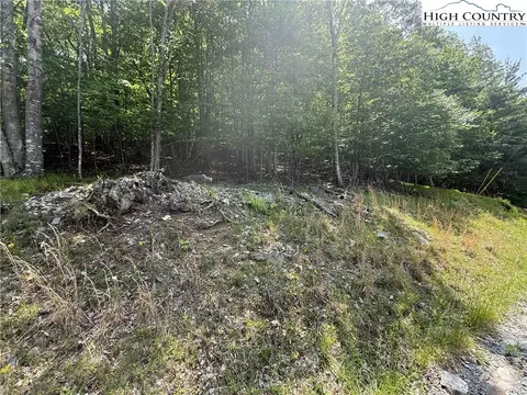 105107 Aster Trl, Beech Mountain, NC 28604 photo 2