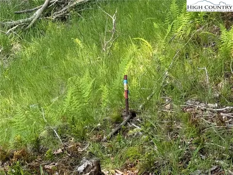 105107 Aster Trl, Beech Mountain, NC 28604 photo 6