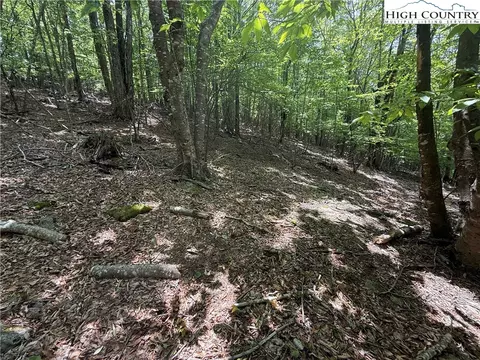 105107 Aster Trl, Beech Mountain, NC 28604 photo 8