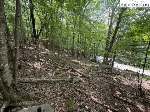 105107 Aster Trl, Beech Mountain, NC 28604 photo 16