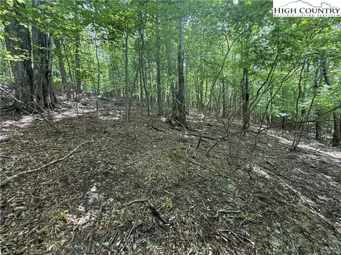 105107 Aster Trl, Beech Mountain, NC 28604