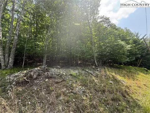 105107 Aster Trl, Beech Mountain, NC 28604 photo 3
