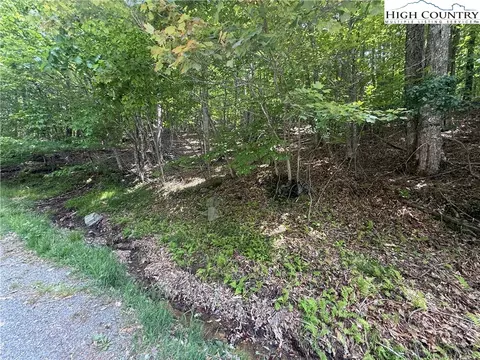 105107 Aster Trl, Beech Mountain, NC 28604 photo 21
