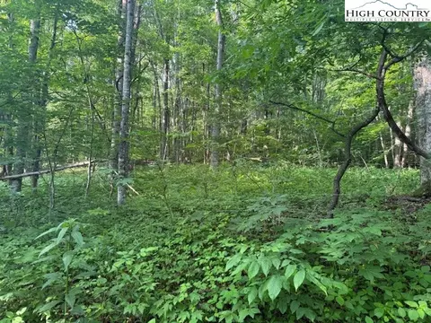 lot10 Billy Bob Ln, Creston, NC 28615