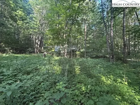 lot11 Billy Bob Ln, Creston, NC 28615