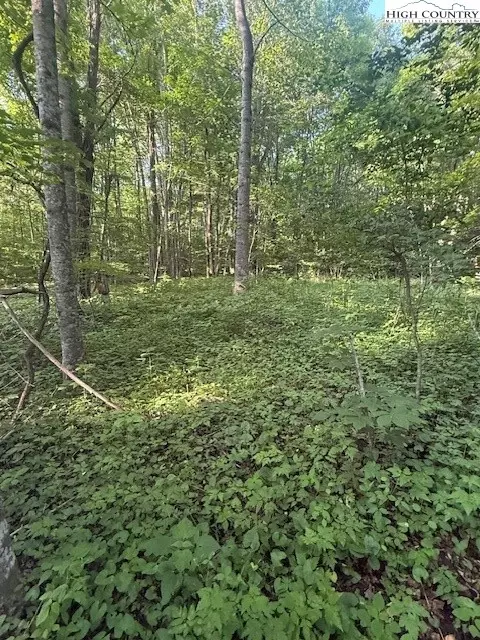 lot10 11 Billy Bob Ln, Creston, NC 28615