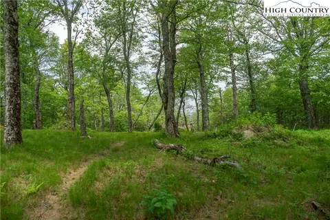 75 Green Cliffs Rd, Sugar Mountain, NC 28604 photo 3