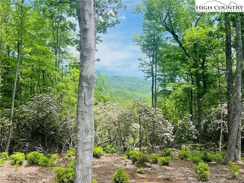 lot39 Wildcat Wilderness Reserve Pkwy, Deep Gap, NC 28618 photo 3