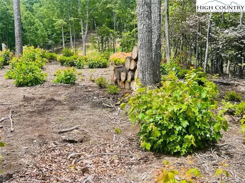 lot39 Wildcat Wilderness Reserve Pkwy, Deep Gap, NC 28618 photo 10