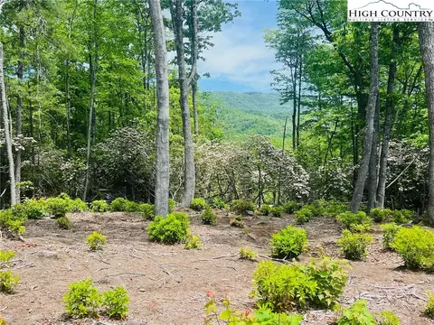 lot39 Wildcat Wilderness Reserve Pkwy, Deep Gap, NC 28618 photo 2