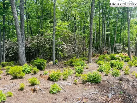 lot39 Wildcat Wilderness Reserve Pkwy, Deep Gap, NC 28618 photo 9