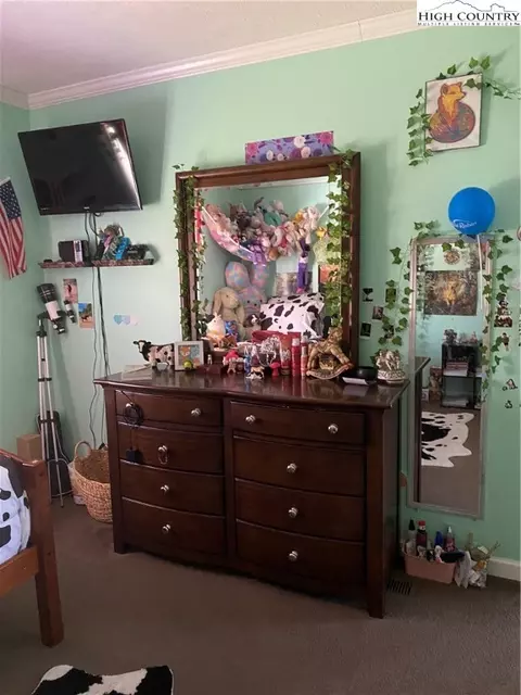 Bedroom - 209 Walnut Ln, Sparta, NC 28675 photo 6 of 8