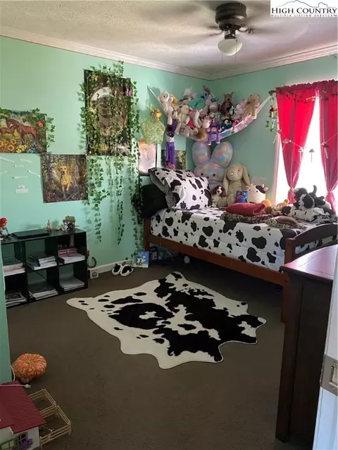 Other - 209 Walnut Ln, Sparta, NC 28675 photo 10 of 14
