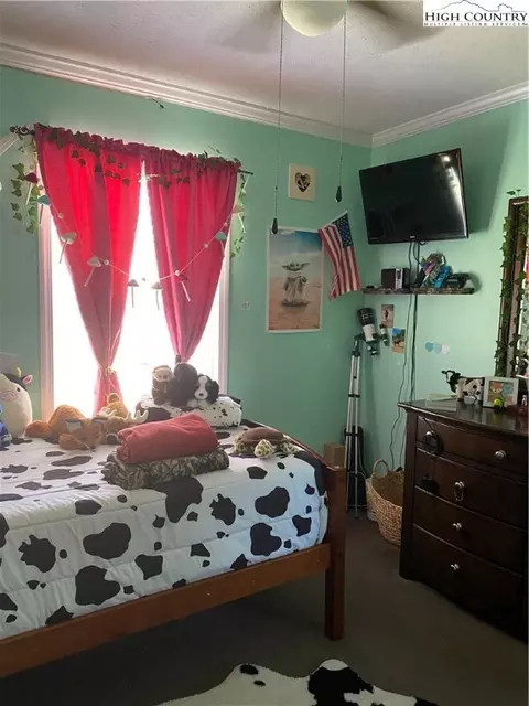 Bedroom - 209 Walnut Ln, Sparta, NC 28675 photo 7 of 8