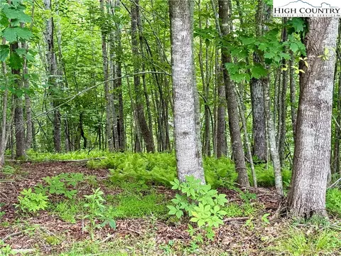 lot20 Twin Bridges Cir, Fleetwood, NC 28626