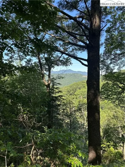 lot43 Quail Hollow Dr, Blowing Rock, NC 28605