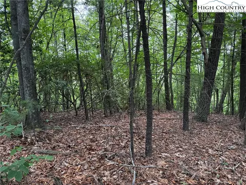 lot215 Casey Mountain Rd, Purlear, NC 28665 photo 22
