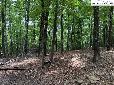 lot215 Casey Mountain Rd, Purlear, NC 28665 photo 16