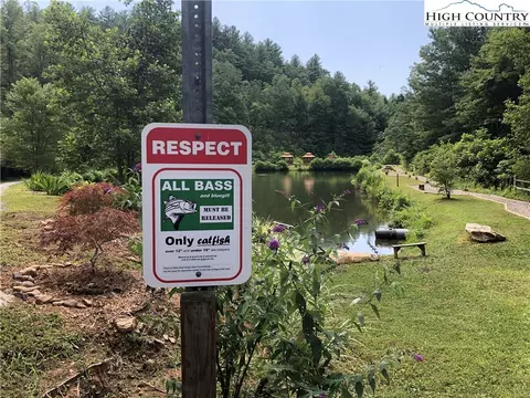 lot215 Casey Mountain Rd, Purlear, NC 28665 photo 39