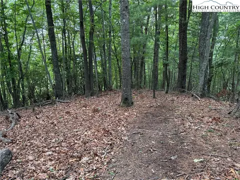 lot215 Casey Mountain Rd, Purlear, NC 28665 photo 20
