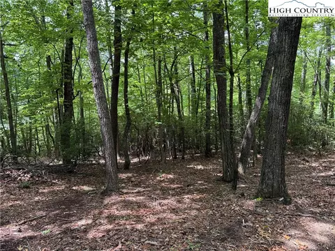 lot215 Casey Mountain Rd, Purlear, NC 28665 photo 15