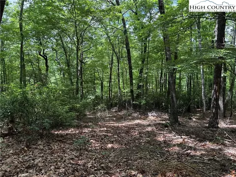 lot215 Casey Mountain Rd, Purlear, NC 28665 photo 14