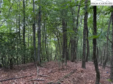 lot215 Casey Mountain Rd, Purlear, NC 28665 photo 21