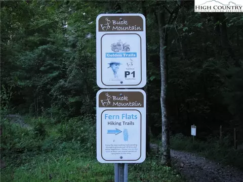 lot215 Casey Mountain Rd, Purlear, NC 28665 photo 36