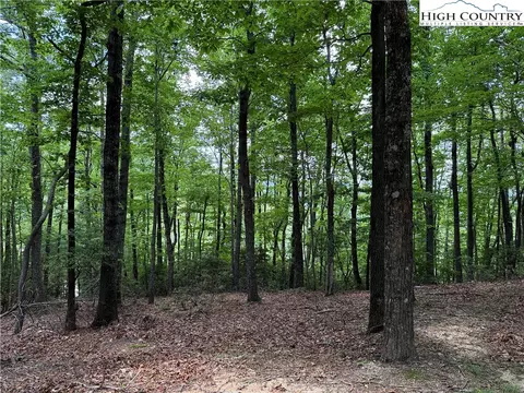 lot215 Casey Mountain Rd, Purlear, NC 28665 photo 17