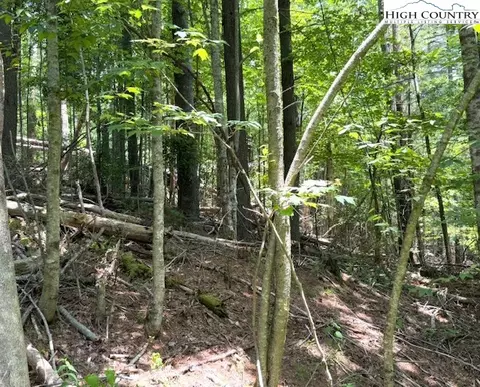 tbd Apple Canyon Dr, West Jefferson, NC 28694