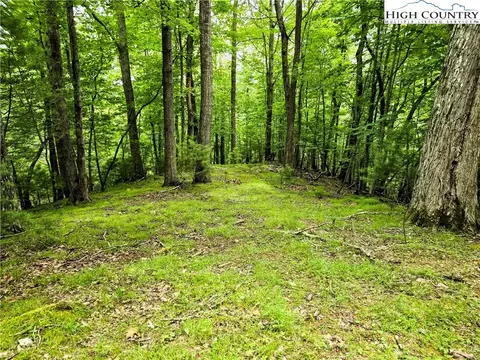 lot7 Brightwood Trl, Deep Gap, NC 28618