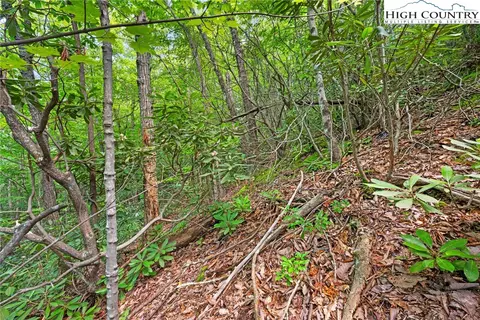 lot330 Pepperroot Rd, Boone, NC 28607 photo 15