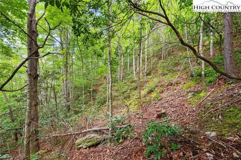 lot330 Pepperroot Rd, Boone, NC 28607 photo 13
