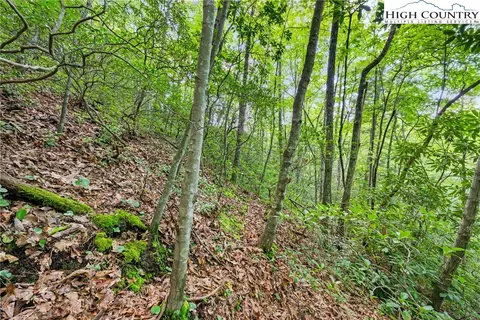 lot330 Pepperroot Rd, Boone, NC 28607 photo 11