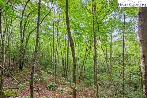 lot330 Pepperroot Rd, Boone, NC 28607 photo 12