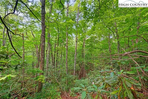 lot330 Pepperroot Rd, Boone, NC 28607 photo 14