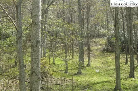 tbd Bobs Mountain Rd, Boone, NC 28607