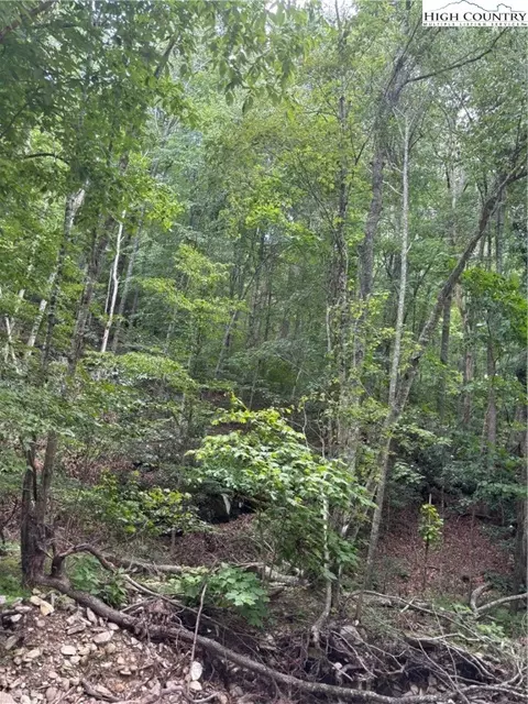460 Grubbs Chapel Rd, Independence, VA 24348 photo 16