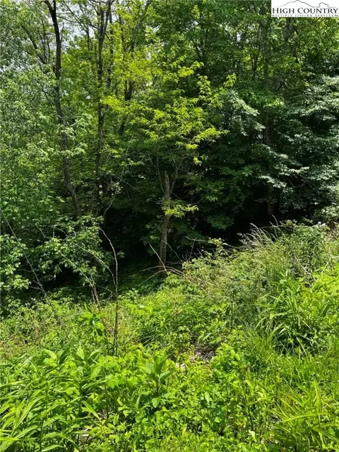 lot93 Moonlight Trl, Seven Devils, NC 28604 photo 6