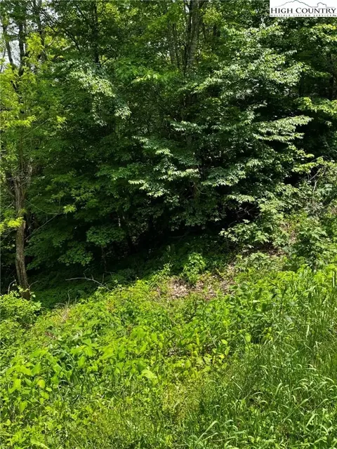 lot93 Moonlight Trl, Seven Devils, NC 28604 photo 7