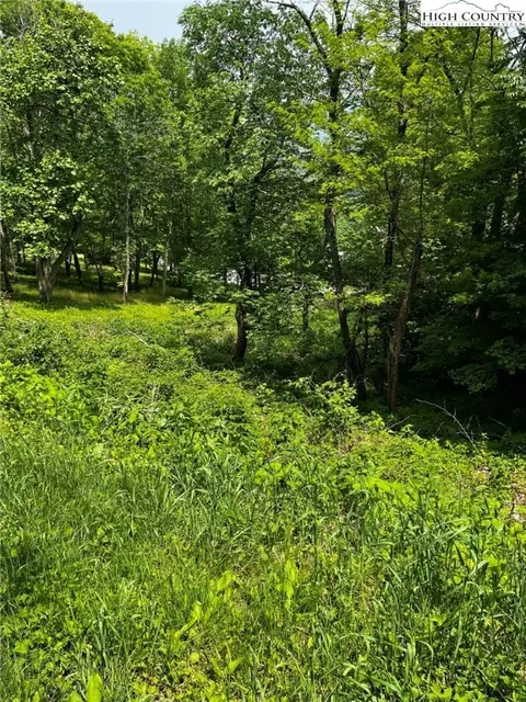 lot93 Moonlight Trl, Seven Devils, NC 28604 photo 8
