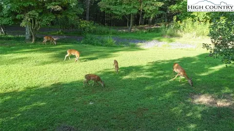 Other - 184 Sanctuary Dr, Crumpler, NC 28617 photo 12 of 12