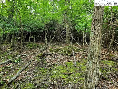 tbd Red Fox Rdg, Boone, NC 28607 photo 10