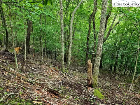 tbd Red Fox Rdg, Boone, NC 28607 photo 18